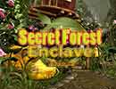 365 Secret Forest Enclave Escape