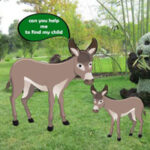 G2R-Save The Donkey Child