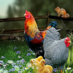 BIG-Save The Hen Family HTML5