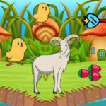 BIG Save Tapped Goat Baby