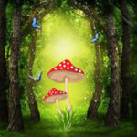WOW-Secret Enchanted Forest Escape HTML5