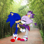 G2R-Seeking The Sonic Friend
