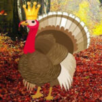 G2R-Seeking Turkey Family HTML5