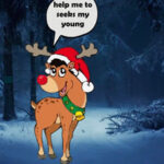 BIG Seeks My Young Reindeer