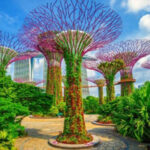 WOW-Singapore Garden Escape HTML5