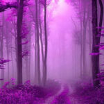 BIG-Soothing Purple Forest Escape HTML5