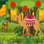 BIG Stucked Camel Reach Desert