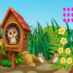 G2M Woodland Owl Escape