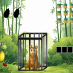 G2M Bamboo Bear Freedom Quest