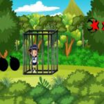 G2M Little Light Escape