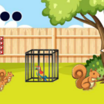 G2M Caged Colorful Parrot Escape