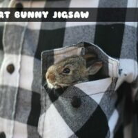 G2M Shirt Bunny Jigsaw