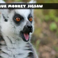 G2M Lemur Monkey Jigsaw