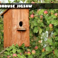 G2M BirdHouse Jigsaw
