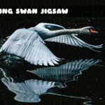 G2M Flying Swan Jigsaw