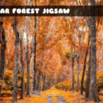 G2M Cedar Forest Jigsaw