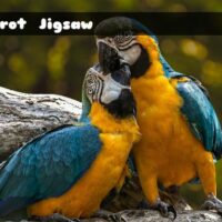G2M Parrot Jigsaw