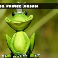 G2M Frog Prince Jigsaw