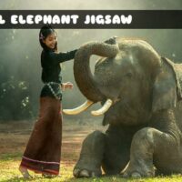 G2M Girl Elephant Jigsaw