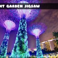 G2M Light Garden Jigsaw