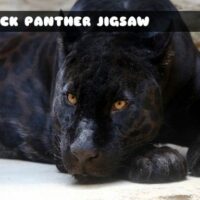 G2M Black Panther Jigsaw