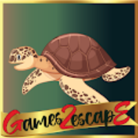G2E Find Sunglass For Sad Tortoise HTML5