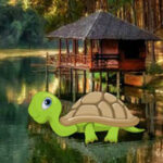 G2R-Tortoise Baby Escape HTML5