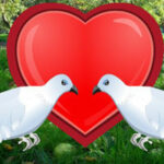 G2R-Trapped Love Dove Escpe HTML5