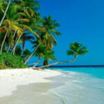 G2R-Tropical Beach Out Escape HTML5