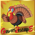 G2E Find Thanksgiving Turkey To Find Party Cap HTML5