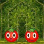 WOW- Twins Tomato Escape HTML5