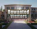 HIDDEN 247: Unwanted Visitors