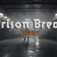365 Prison Break Escape