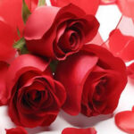BIG-Valentines Rose Bouquet Day HTML5