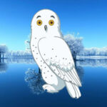 WOW-Winter Owl Forest Escape HTML5
