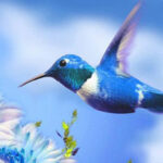 WOW-Wonderful Humming Bird Land Escape HTML5