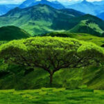 G2R-World Beautiful Mountain Escape HTML5