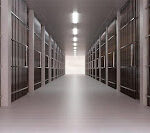 365 You’re a Prisoner Escape